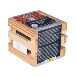 Plow & Hearth Bulb Gardens & Florals>Strawberry Grow Kit in Wooden Crate