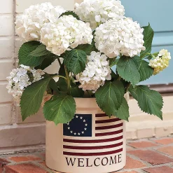 Plow & Hearth Planters & Plant Stands>USA-Made Americana Welcome Stoneware Crock